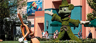 Disney Hollywood Studios